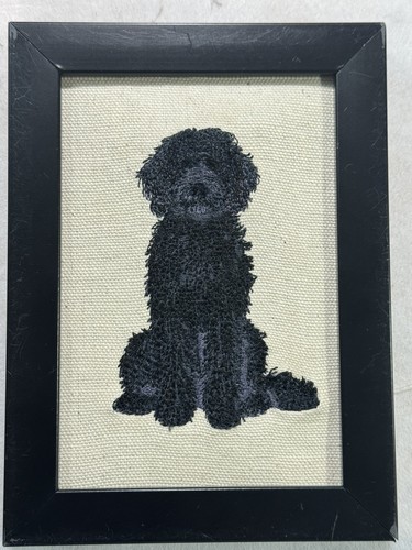 Labradoodle dog breed - labradoodle,