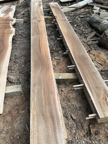 Wide english elm - english, floorboards