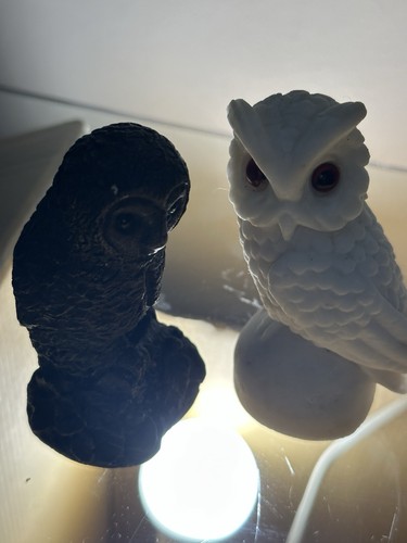 Black white owl - &,