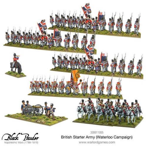 Black powder napoleonic - powder,