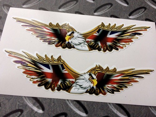 Soaring golden eagle - soaring,