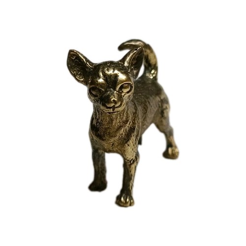 Brass dog chihuahua miniture - chihuahua,