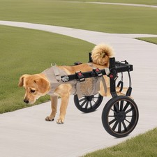 Adjustable Pet Rehabilitation