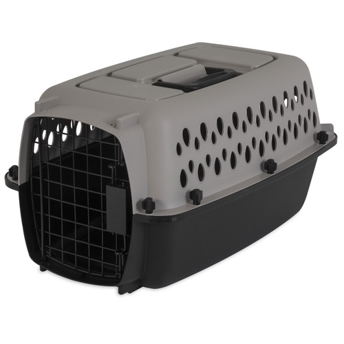 Vibrant life pet - pet, portable