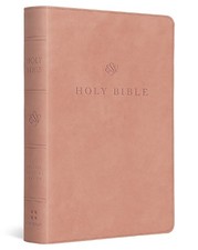 ESV Large Print Compact Bible