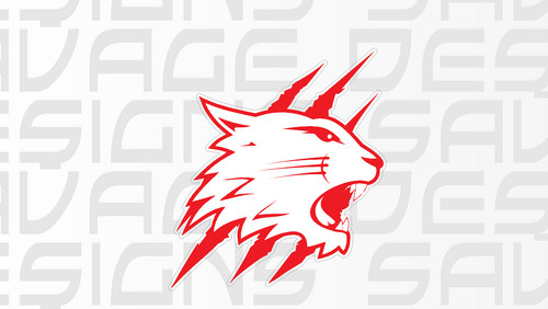 Swindon wildcats ice hockey - swindon,