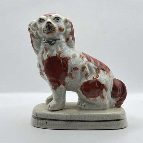 Interesting staffordshire - interesting,