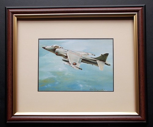 Aircraft print framed - aircraft,