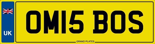 Boss number plate - om,