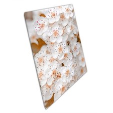 Midland Hawthorn Tree Canvas