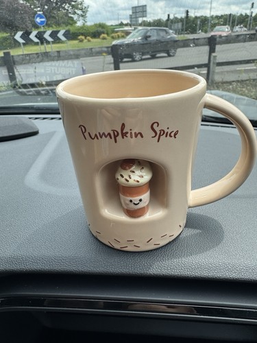 Next home pumpkin spice autumn - next,
