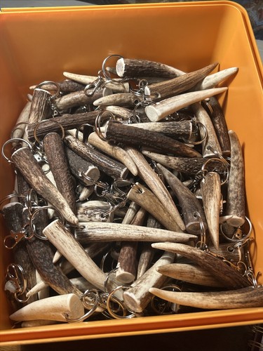 Antler deer keyring scottish - antler,