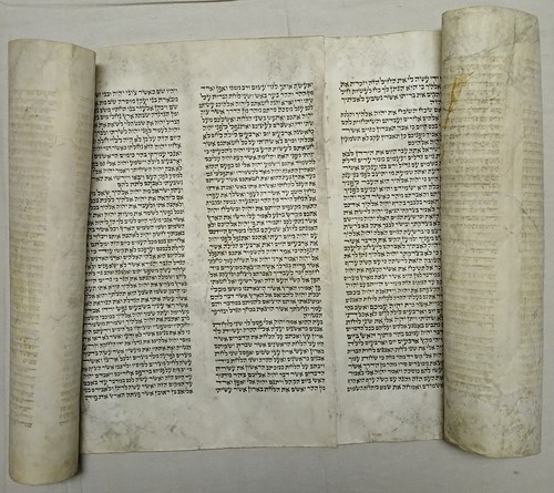 Large vellum torah scroll - vellum,