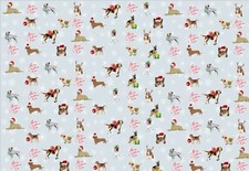 Personalised Dog Christmas