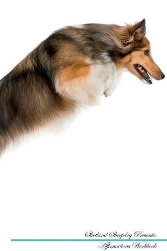 Shetland sheepdog affirmations - sheepdog,