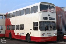 Bus Photo - MTL Training