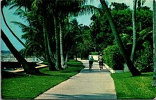 Postcard Bicycle Path Palm