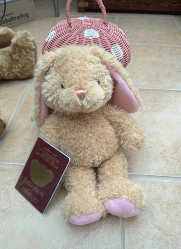 Design bear bunny - design,