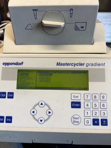 Eppendorf 5331 mastercycler - eppendorf,