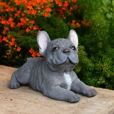 Lying Blue Bulldog Garden
