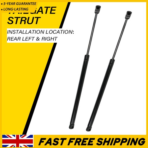 Rear tailgate gas struts - rear,