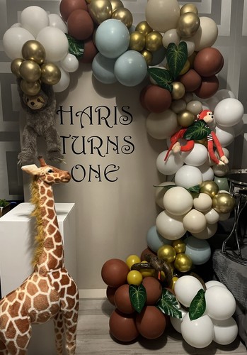 Sailboard hire balloons wild - sailboard,