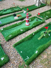9 Hole Crazy Mini Golf Hire