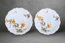 Antique Hand Painted Display