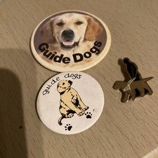Guide Dog For The Blind Pin Badges