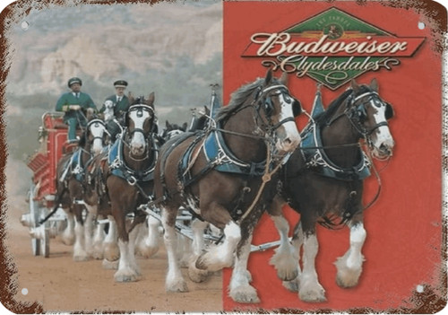 Budweiser clydesdales horses - budweiser,