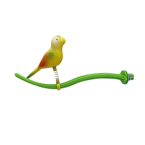 Parrot perch stand play - parrot, stand,