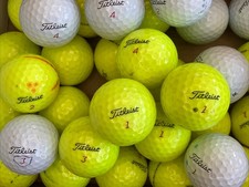 32 Titleist Practice Grade Pro