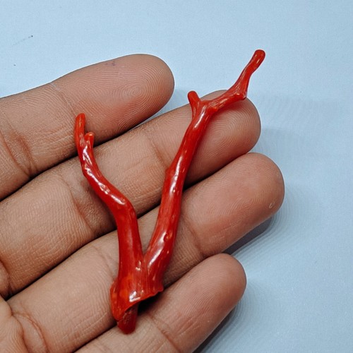 Natural italian red coral - red,