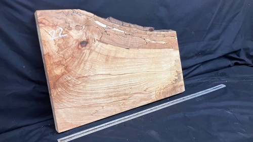 Spalted beech timber plank - timber,,