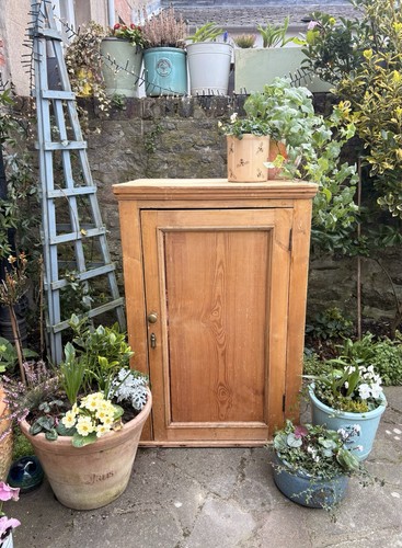 Rustic victorian pine cupboard - victorian,