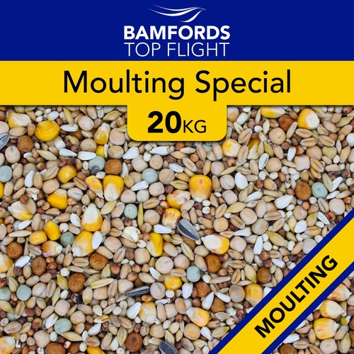 Bamfords moulting special - moulting,