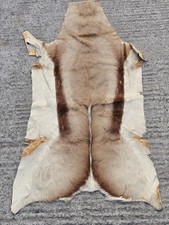 Genuine Natural SPRINGBOK