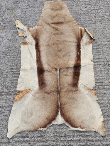 Genuine natural springbok - genuine,