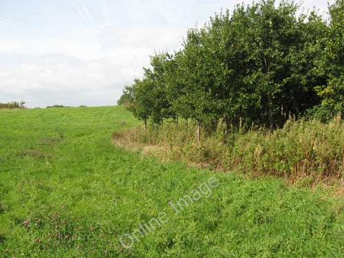 Photo 12x8 the - 12x8,