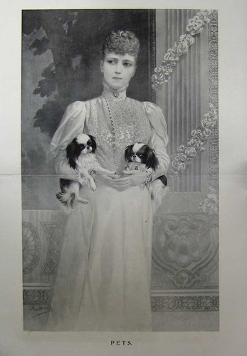 Original old antique print - antique,