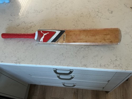 Puma 4000 kinetic - puma, bat