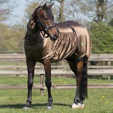 Horse sweet itch - summer, mesh