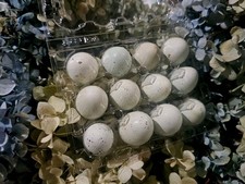 Rare true blue celadon - true,