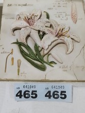 M&S Plaque Hand Painted Wall