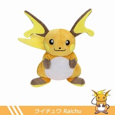 NEW Bring a hang tag V Raichu