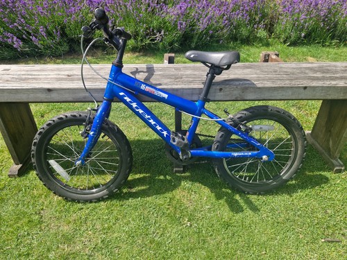 Ridgeback mx16 lightweight - ridgeback,