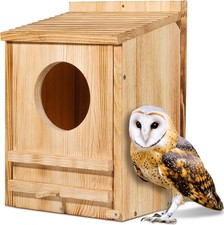 Barn Owl House, Owl Nesting