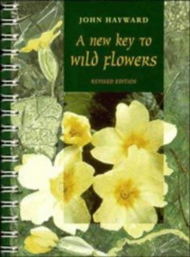 New key wild - new,