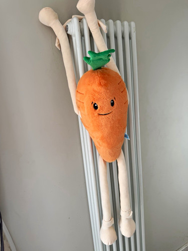 Aldi kevin the carrot - aldi,