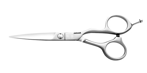 Jaguar vision hairdressing - jaguar,
